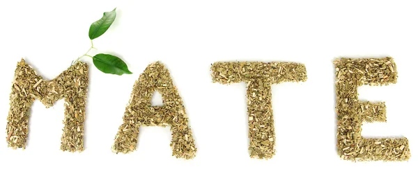 Les bienfaits du maté : une boisson naturelle pour renforcer sa santé