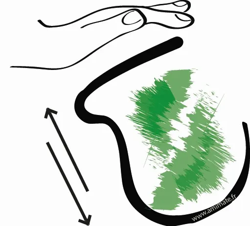 Secouer la calebasse pour enlever la poudre fine de yerba maté