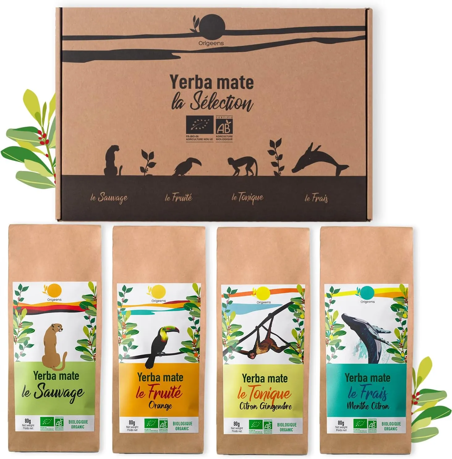 Coffret Maté Bio x4 Origéens – Sauvage, Fruité, Tonique, Frais 4x80g